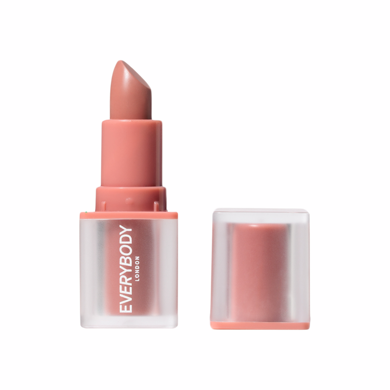 Mini Lipstick Velvet Matte Dusty Silk