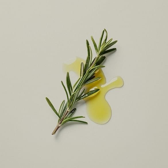 <h2>Rosemary Haircare</h2>