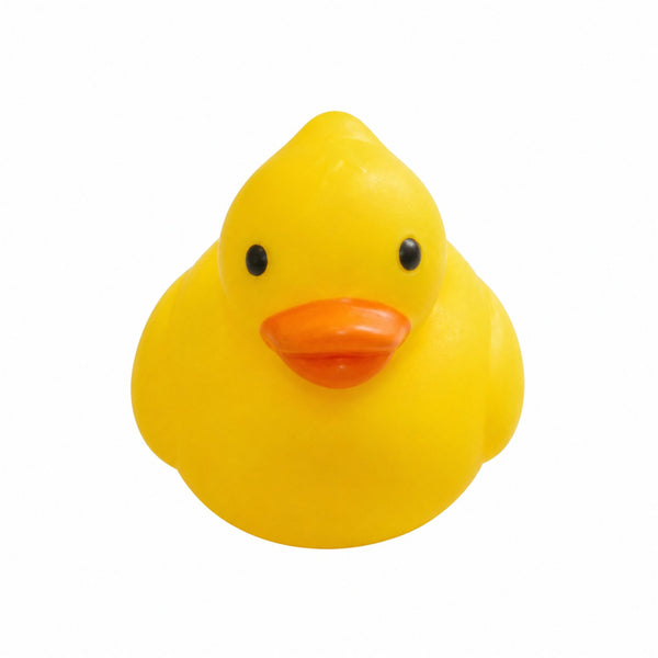 Squishy Duck Squishy
