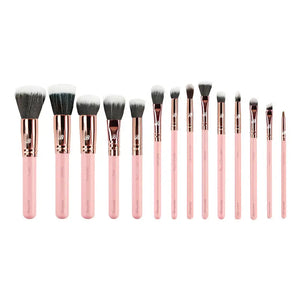 Pink & Rose Gold 14 pc. Starter Set