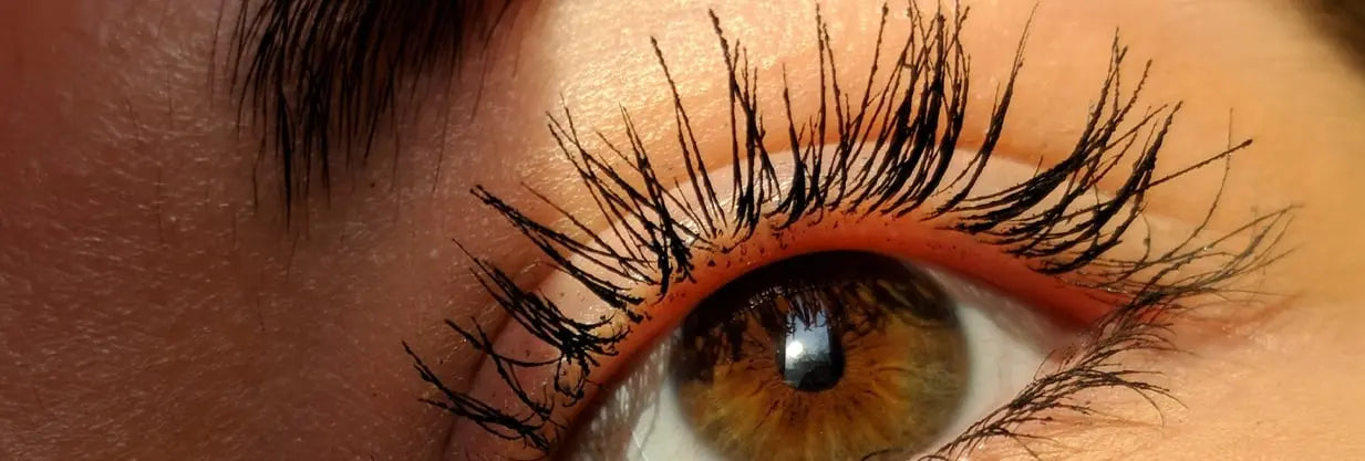 lashes