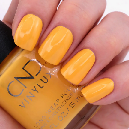 CND Among the Marigolds #395