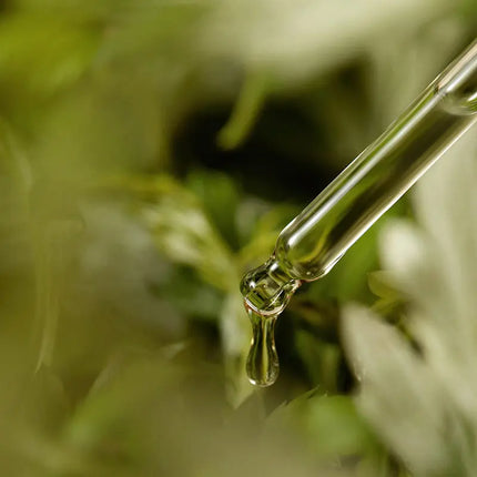 I'm from Mugwort Serum