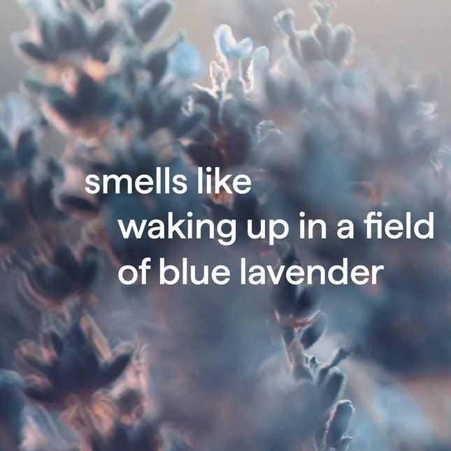 Method Body Body Wash Wind Down