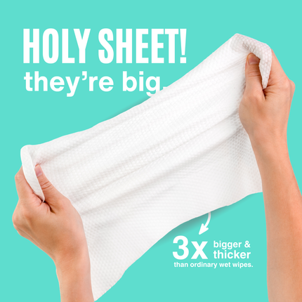 Swypes Body Wipes 15 Pack