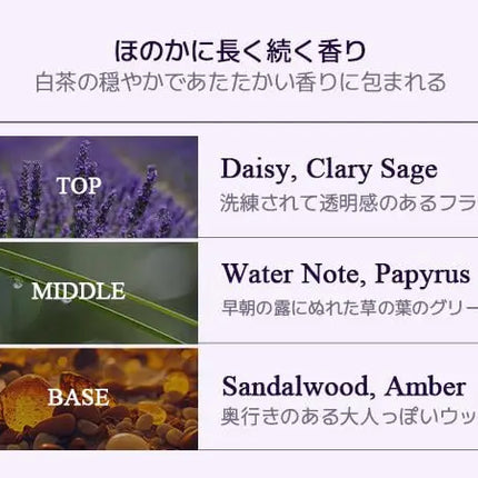 Teabless Sage Amber Purple Tea Perfume Body Lotion