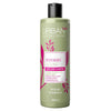 Rosemary & Clove Strengthening Shampoo