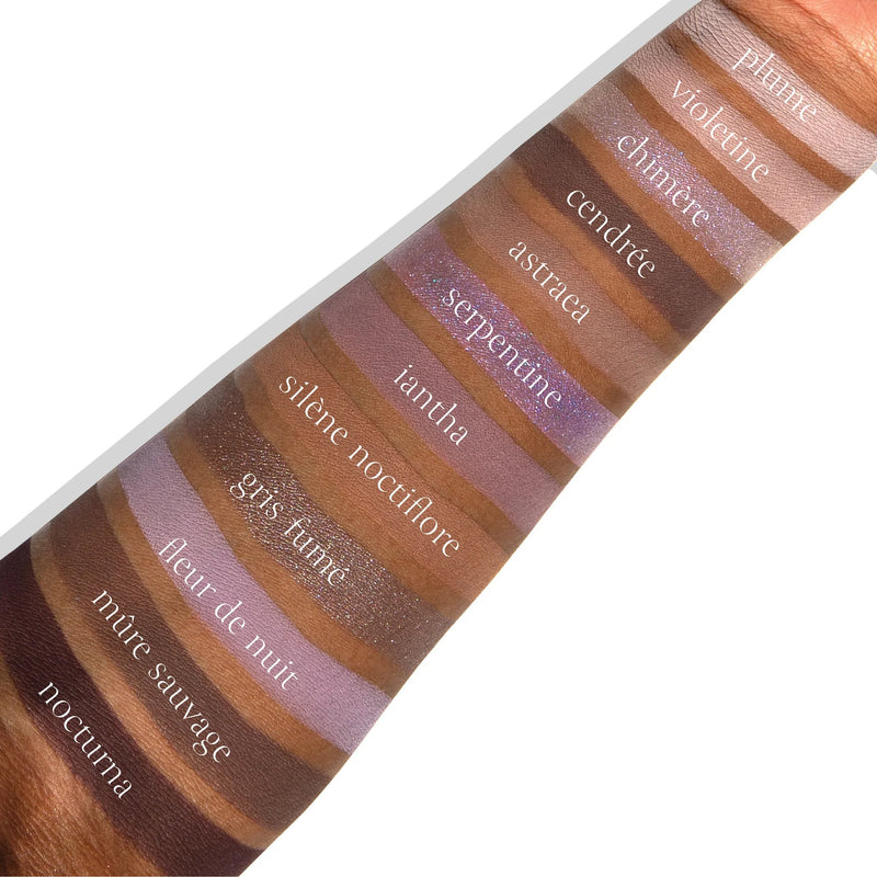 Viseart Violette Nocturne Étendu oogschaduwpalette met 12 paarse en neutrale tinten